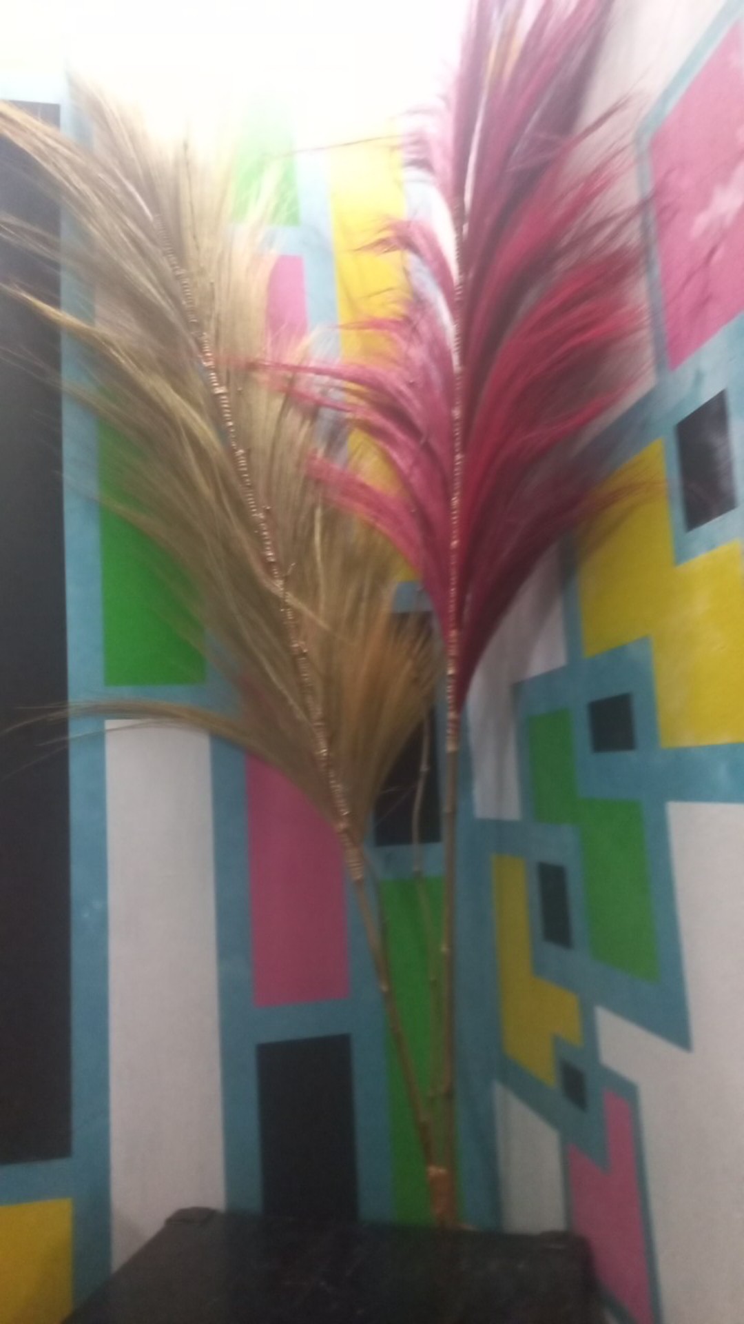 Paket Termurah Homedecor Rayung Rustic Dekorasi Rayung Kering Bunga Rayung Panjang Rayung Natural