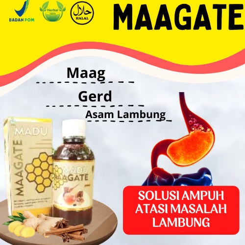 obat asam lambung herbal ampuh obat asam lambung maag lambung herbal asam lambung kronis obat magh a