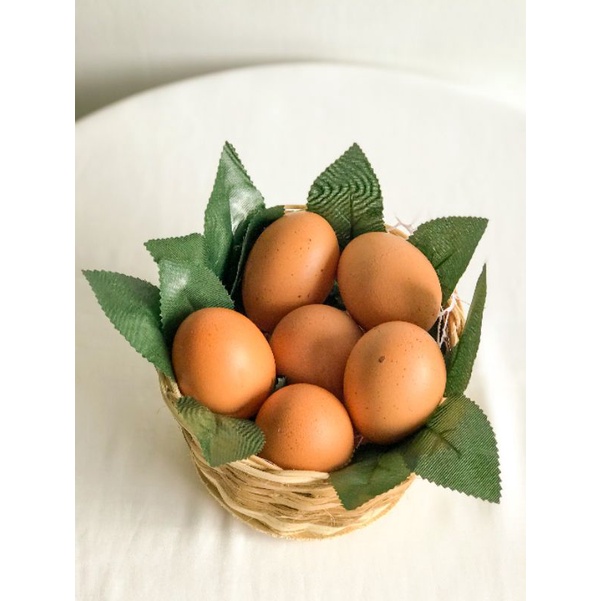 

Telur Ayam Negeri Fresh High Quality (harga per kilo)