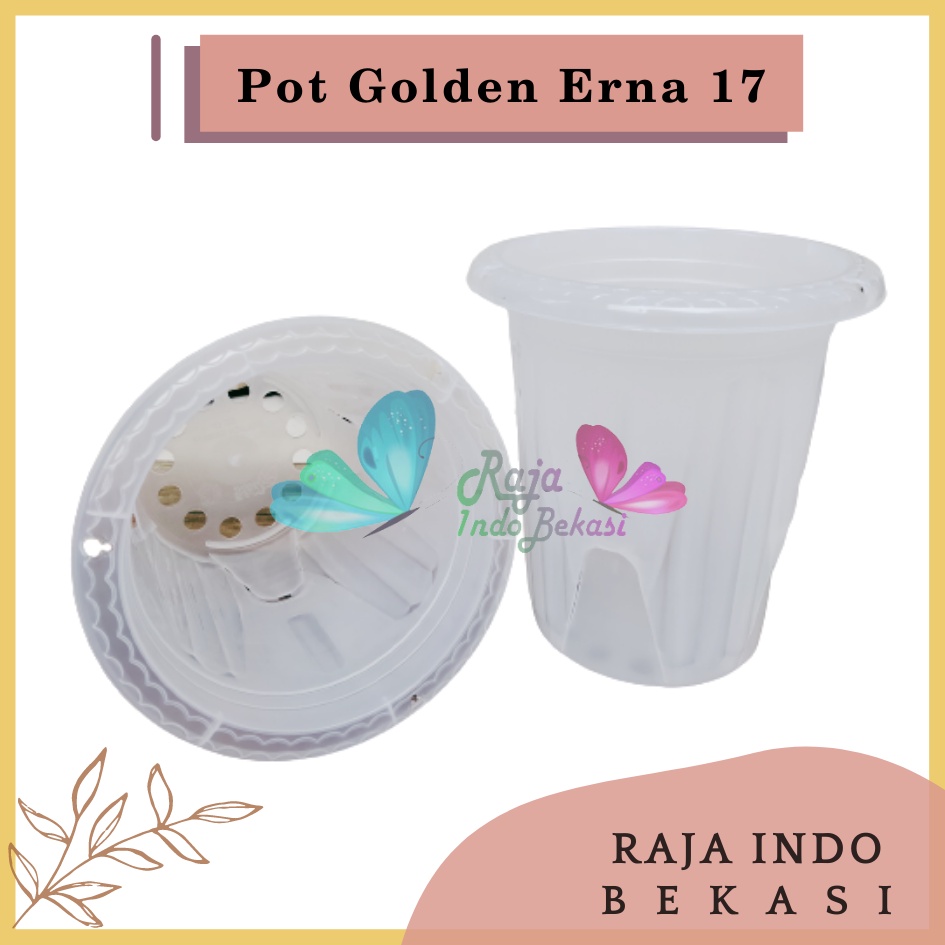 Pot GE17 Golden Erna 17 Transparan Bening Garden Of Love Mirip Pot Yogap 15 17 Putih Coklat Merah Bata Bening Transparan Pot Yogap 17 18 19 Pot Yogap Murah Pot Bunga Tinggi Pirus Tegak Bagus Tebal