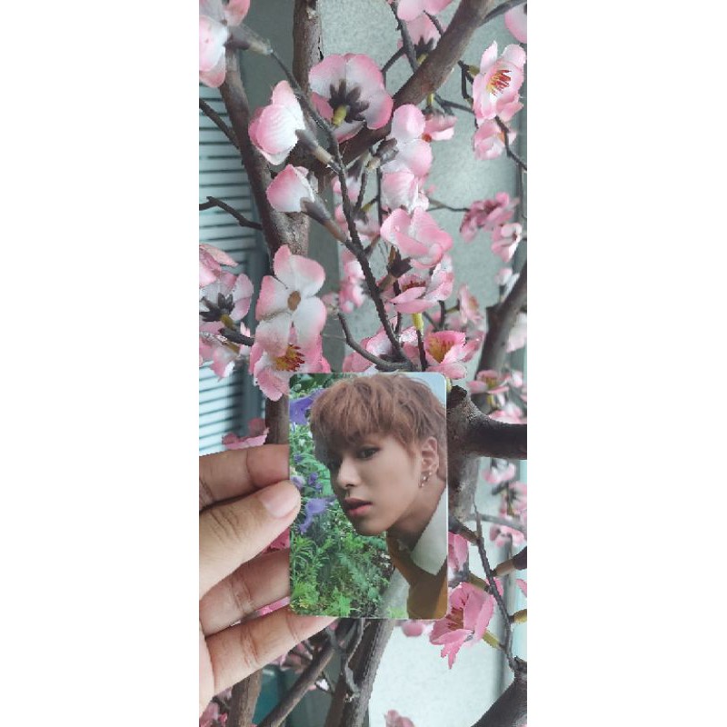 TREASURE PC CHAPTER 1