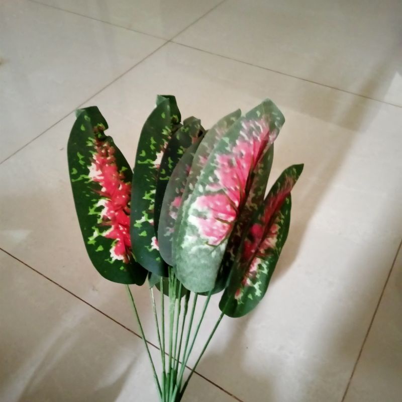 TANAMAN DAUN KELADI MERAH TANAMAN HIAS PLASTIK