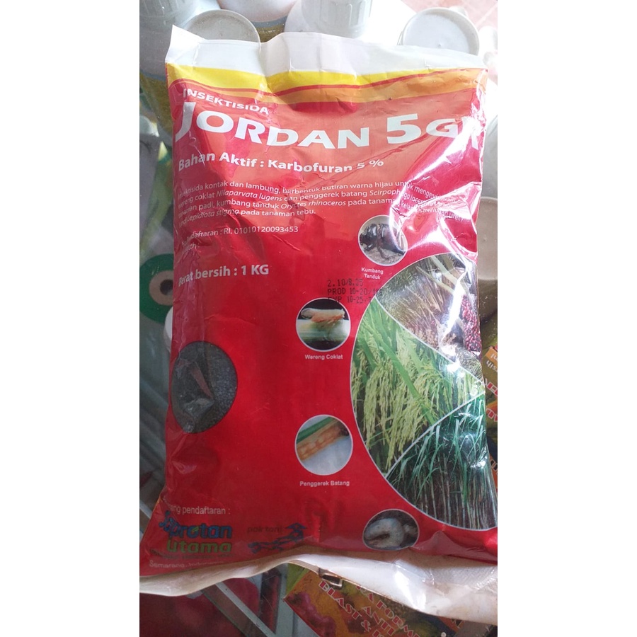 Insektisida JORDAN 5gr 1kg