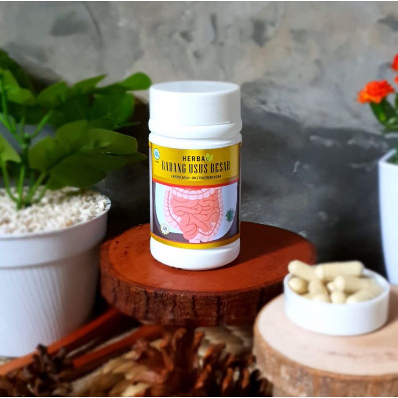 Radang Usus Besar Herbal Radang Obat Radang Usus Besar Original