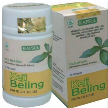 Obat herbal ampuh mengobati ginjal dan melancarkan buang air kecil dengan kapsul keji beling alami ASLI 100% HERBAL