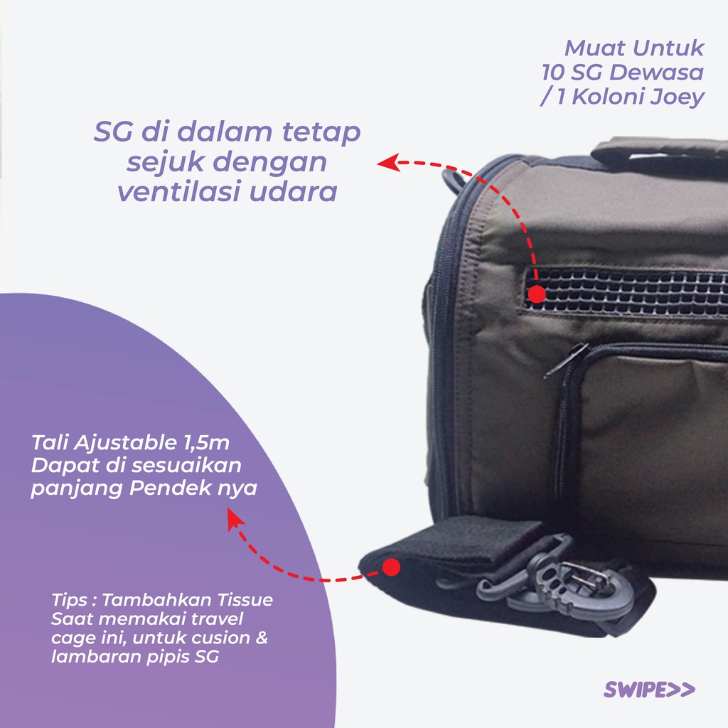 ADEWAP GLIDER Tas Travel Cage Curve Sugar Glider + Kandang