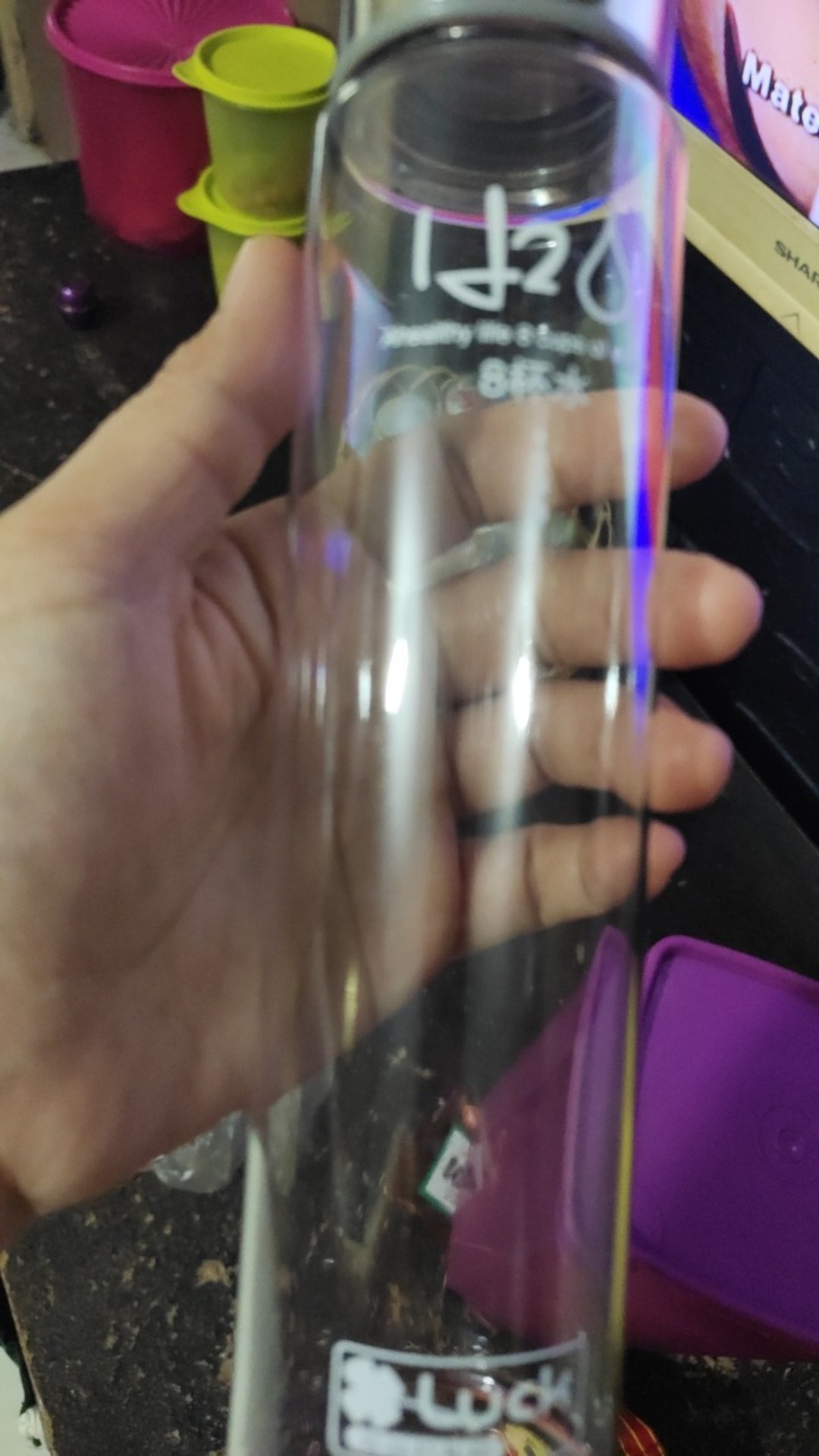 Botol Minum H2o Transparan 280 Ml