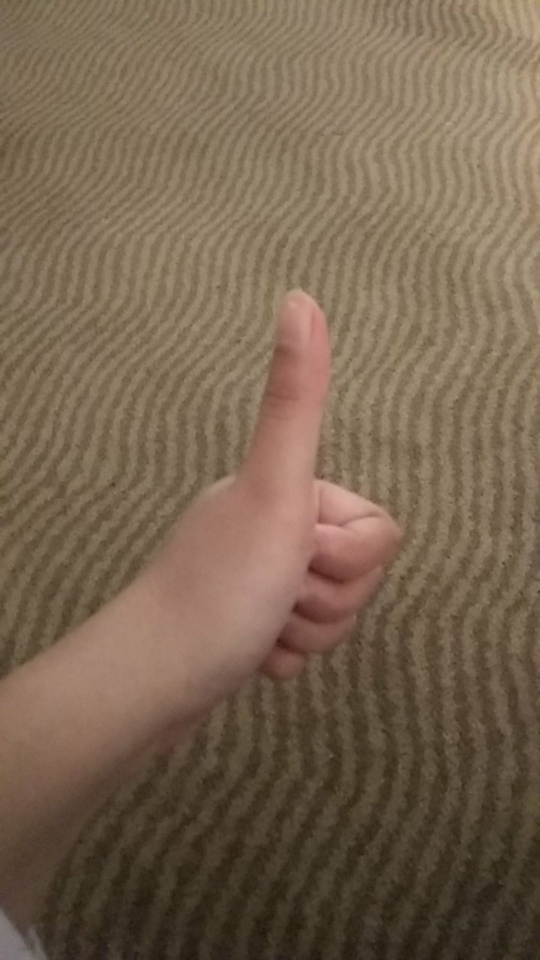 Sushi Mat Bambu Tikar Penggulung Sushi