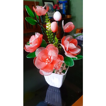 Bunga Hias Mini/Tanaman Hias Mini