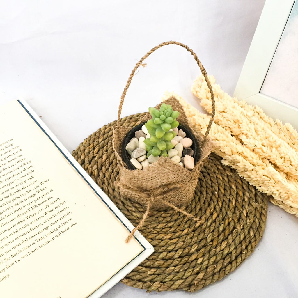 Souvenir kaktus &amp; Sukulen Hias Mini (Burlap jinjing mini D-5 cm)