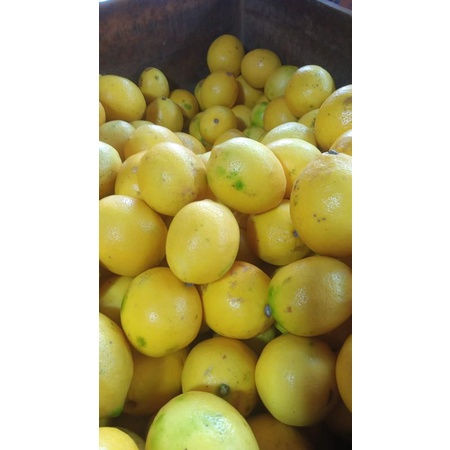 

lemon California 1kg