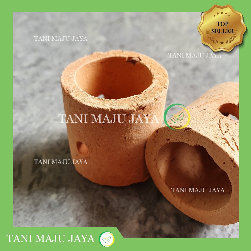 Pot Mini Tanah Liat Aquascape Aquarium Pembibitan Anggrek