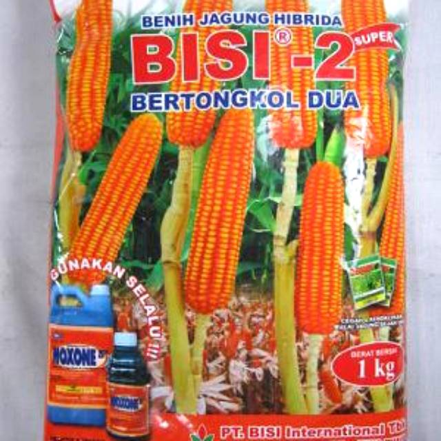 Benih jagung Bisi 2