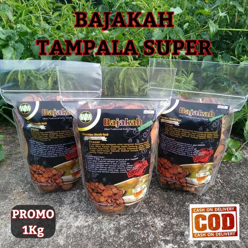

Herbals BAJAKAH TAMPALA SUPER..! "PROMO