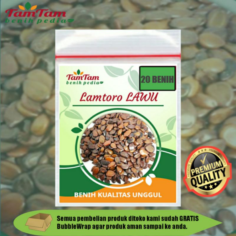 BENIH LAMTORO LAWU (isi 20 Benih)