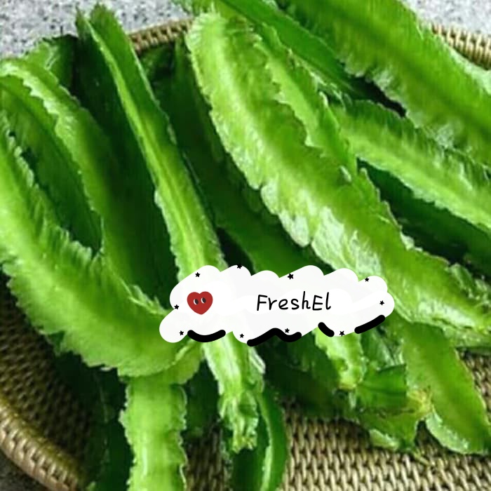 

FreshEl - KECIPIR 250GR