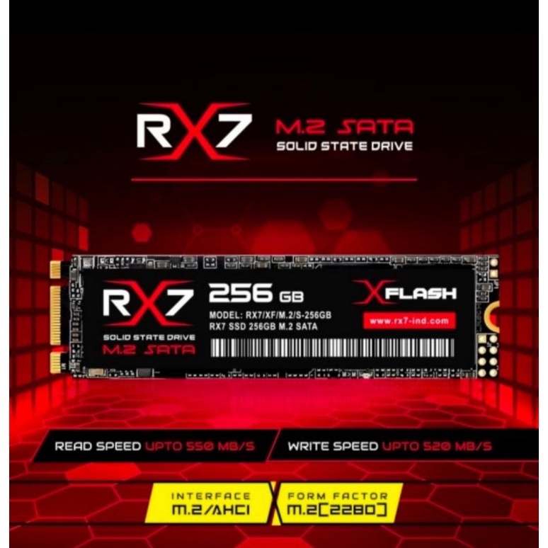 SSD M2 SATA 256GB RX7