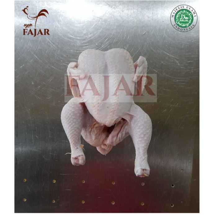 

ayam karkas/karkas ayam segar dan fresh/ukuran 1.3 per/ekor