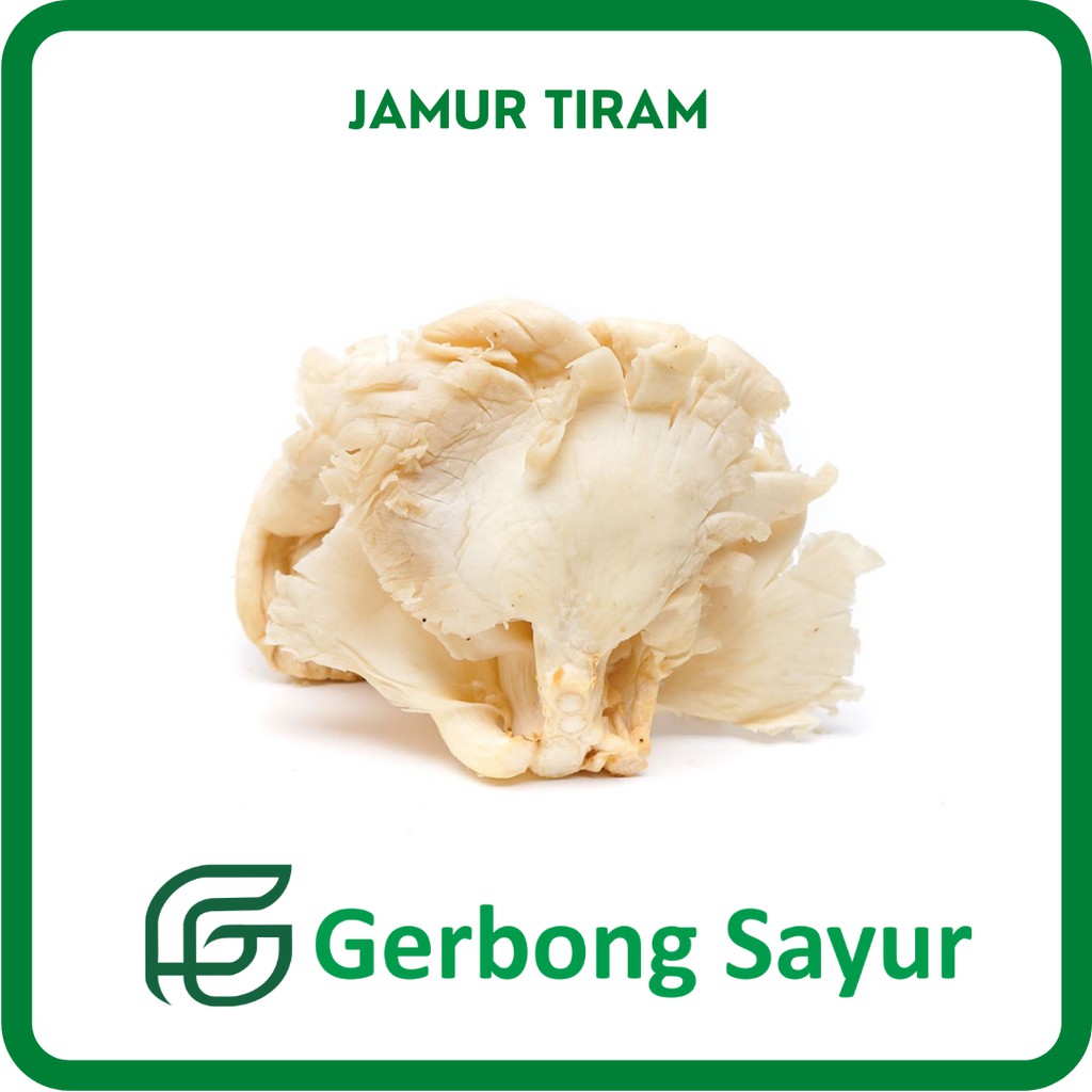 Jual Jamur Tiram Segar 250g Shopee Indonesia