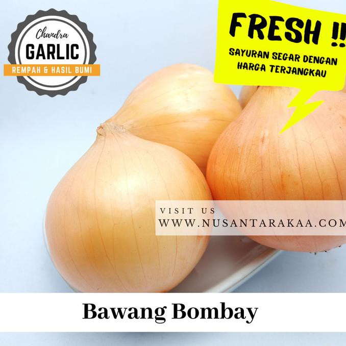 

Cuci Gudang Awal Tahun bawang bombay / bombai 500 gr Diskon