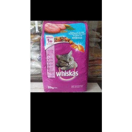 Makanan kucing WHISKAS adult Oceanfish 20kg makanan kucing dewasa whiskas murah promo - GOJEK/GRAB only