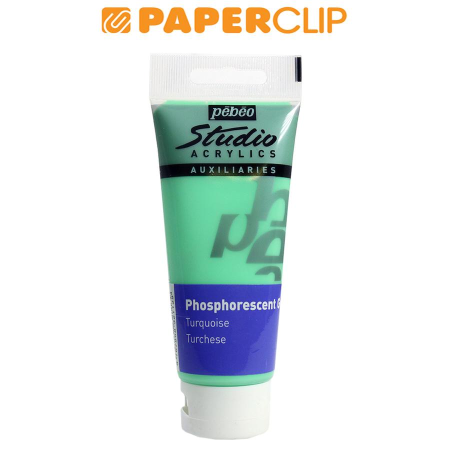 

CAT PEBEO ACRYLIC 100ML GLOW TURQUOISE 832113