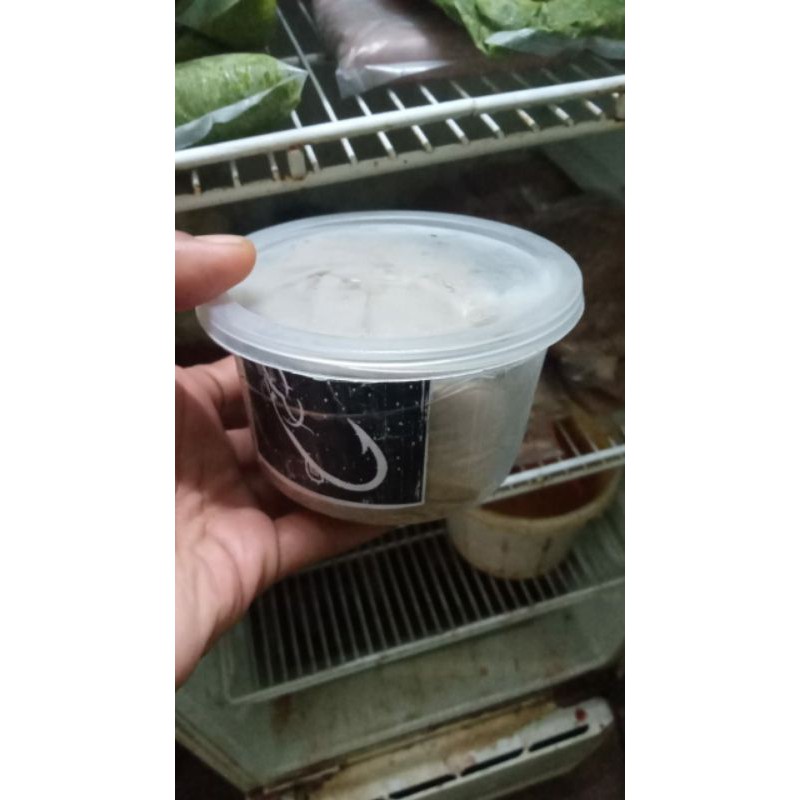 Umpan Siap Pakai Galatama lele. OTOT SAPI