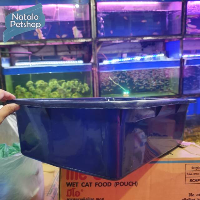 Tempat Pasir Kucing Besar Murah / Cat Litter Box