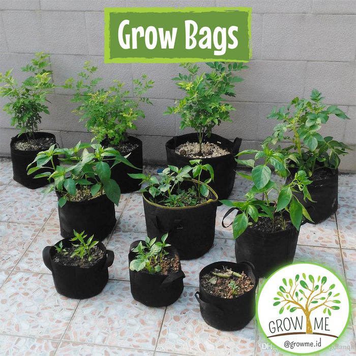 Grow Bag - Planter Bag, Pot Tanaman kain, GrowMe.id