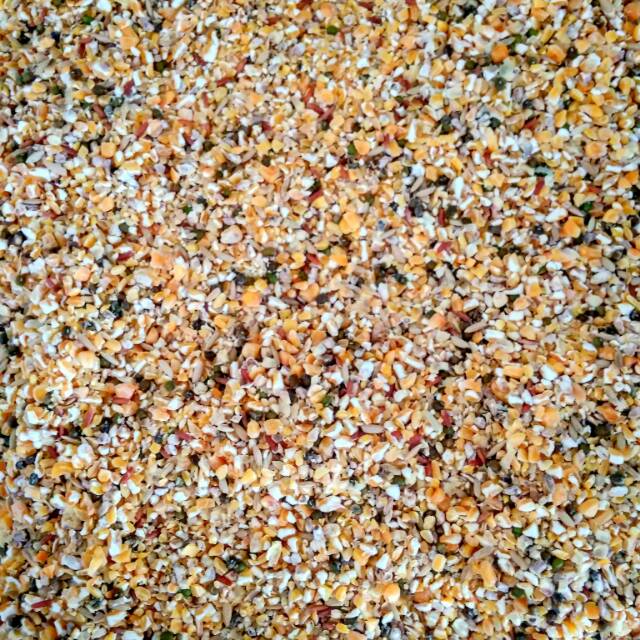 

JAGUNG CAMPUR KILOAN