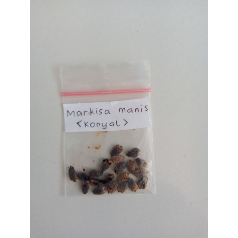 

bibit biji markisa manis konyal siap tanam