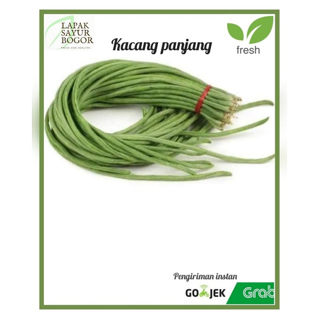 

kacang panjang segar sayur sayuran bogor