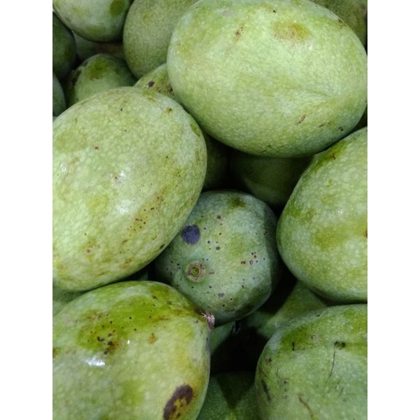 

Mangga Manalagi