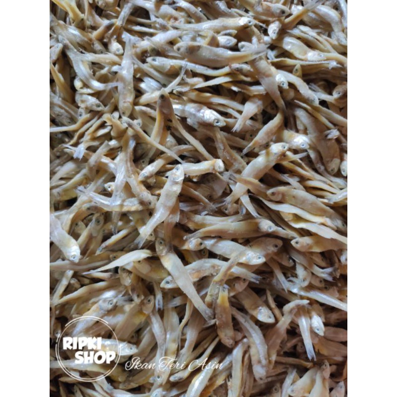 

Ikan Teri Asin 500g