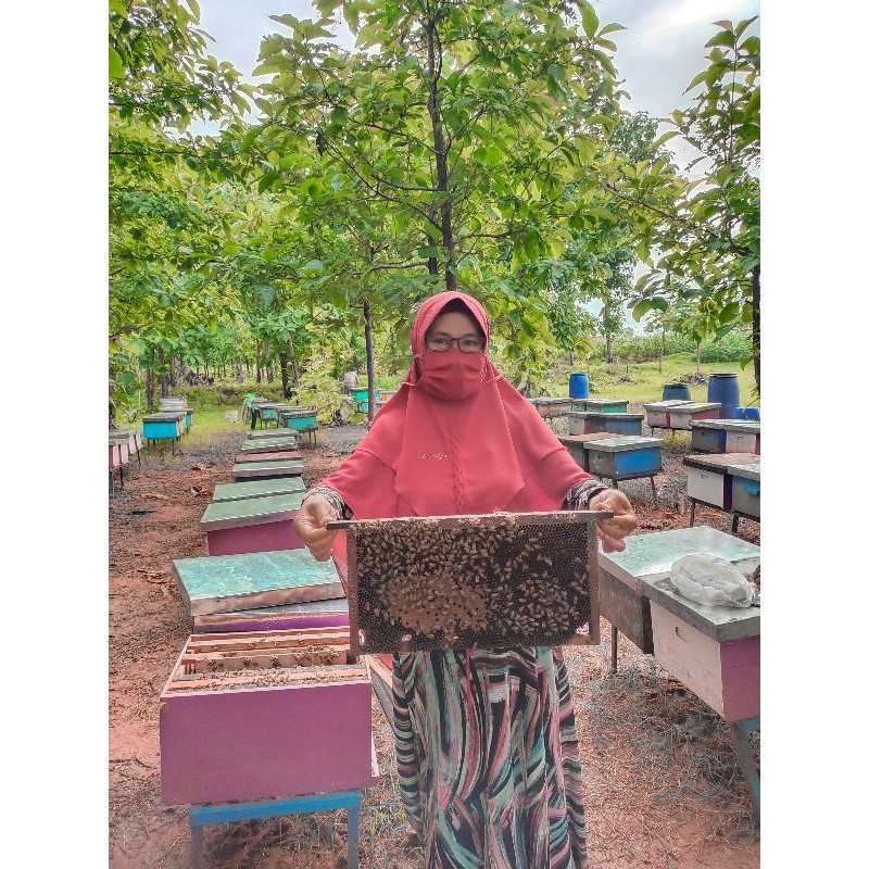 

MADU MURNI KEMASAN BOTOL KACA