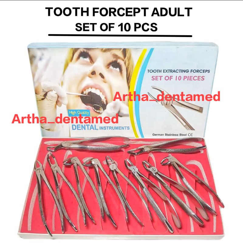 Tang cabut gigi dewasa set / TCD / Tooth forcept adult set ( BELDENT GERMANY )