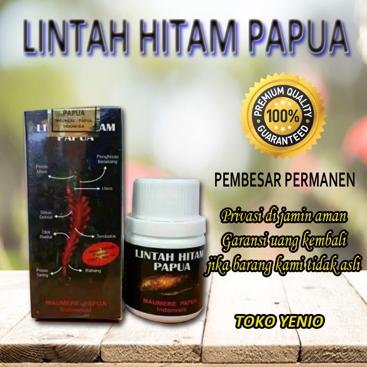 OBAT PEMBESAR KELAMIN PRIA PENIS ASLI PAPUA ROTAN KERAS