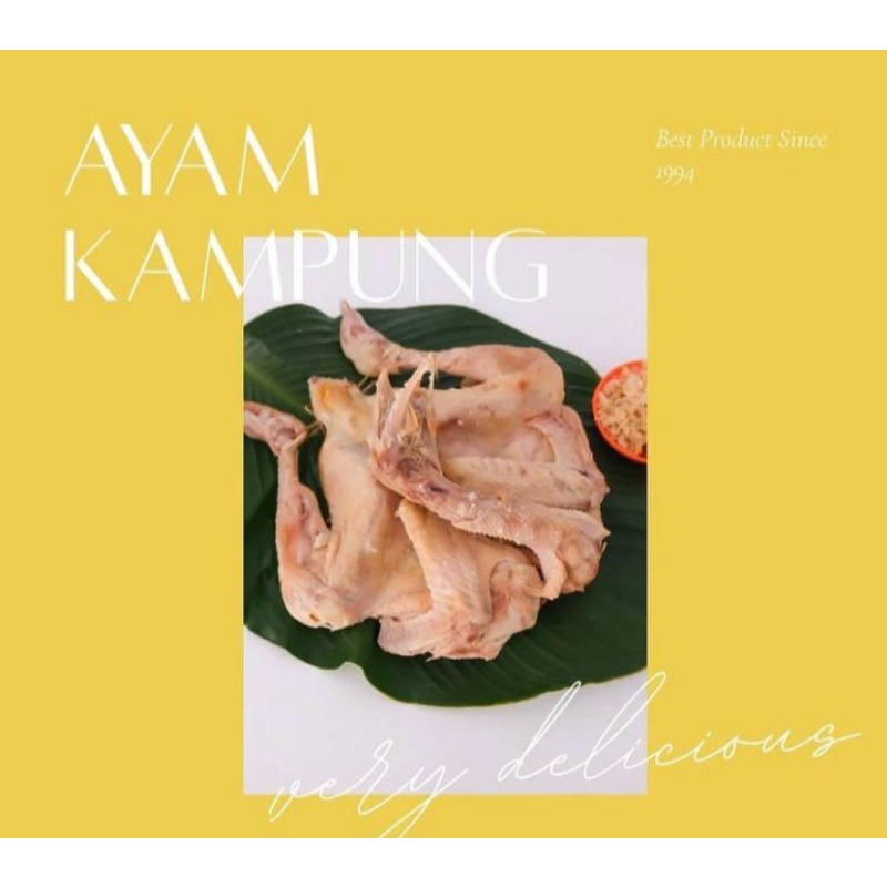 

ayam negeri ungkep frozen food
