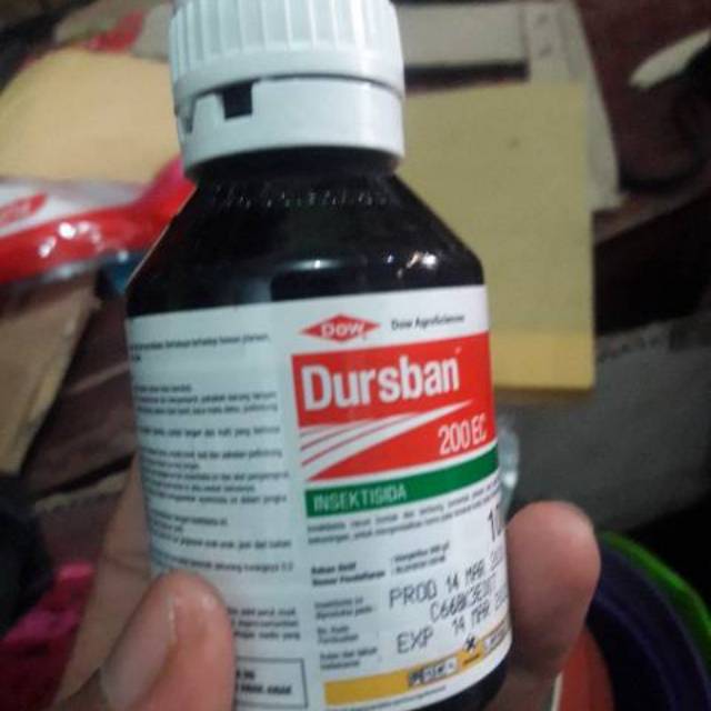 Dursban insextisida