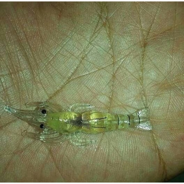 Umpan udang buatan karet silicon