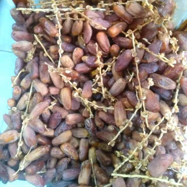 

Kurma tangkai tunisia kiloan