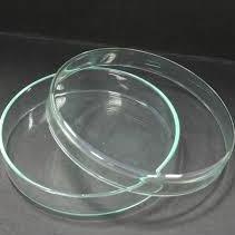 ○ Petridish ( cawan petri ) 100 mm x 20 mm Pyrex ➤