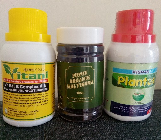 Pestisida Organik Plantes Untuk Menghilangkan Ulat Kutu Tanaman