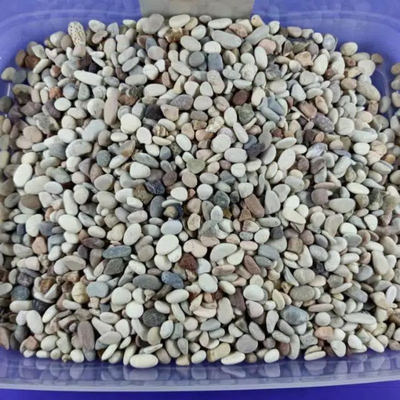 F4 BATU CORAL HIAS AQUARIUM AQUASCAPE Pancawarna | Batu Aksesoris Akuarium Ikan Putih Krem Coklat