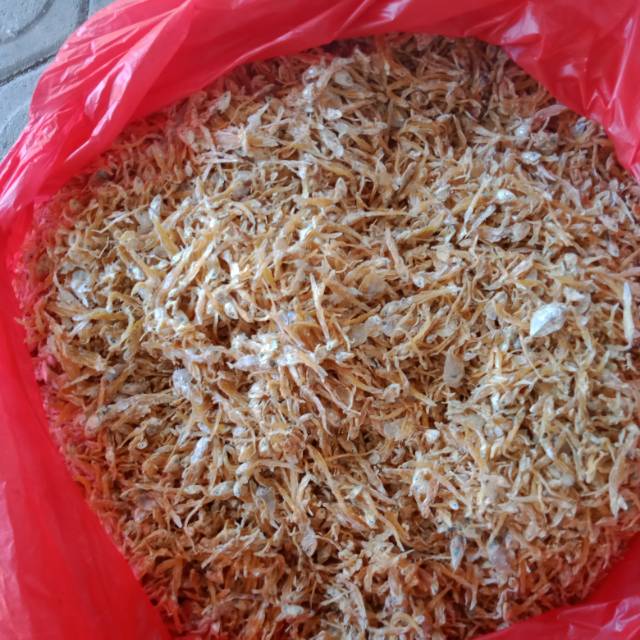 

Teri medan tawar