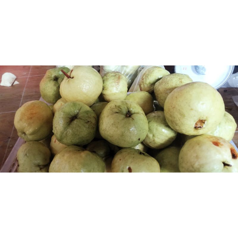 

jambu kristal