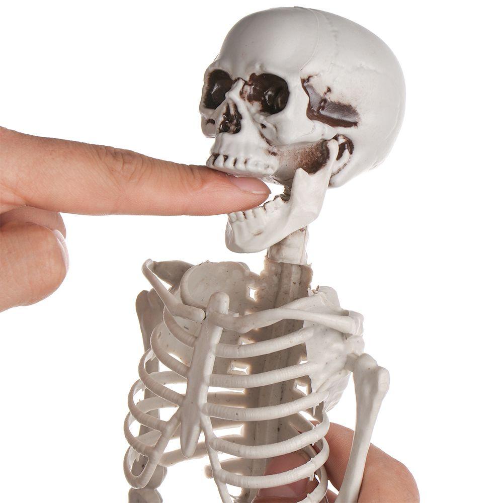 Chookyy Halloween Kerangka Manusia Perlengkapan Pesta Dekorasi Rumah Angker Mainan Anatomi Model Tulang