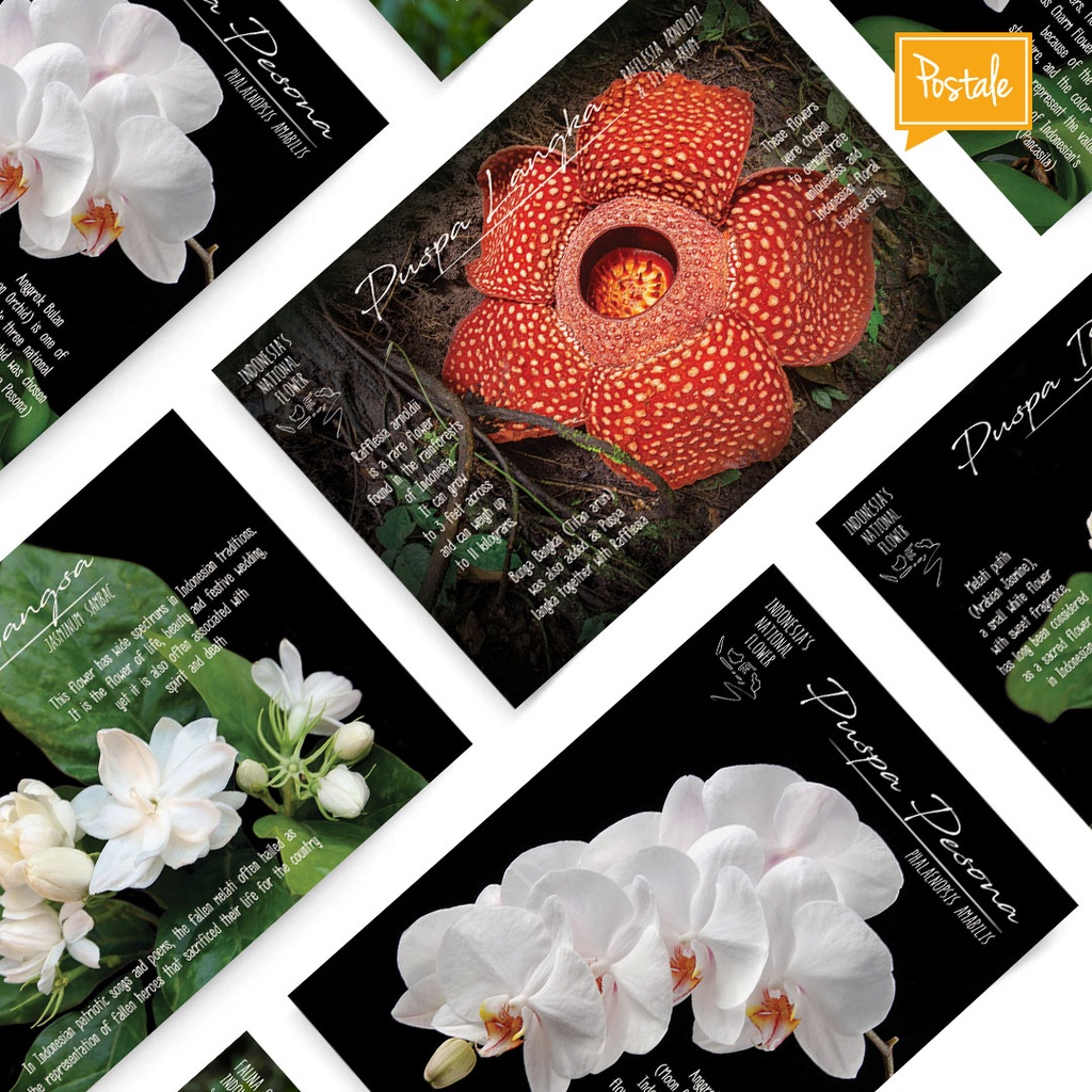 

Kartu Pos Flora - Postale