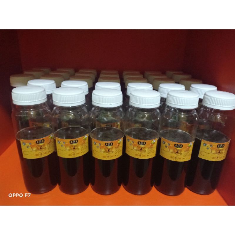 

madu hutan riau