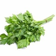 

seledri 250gram